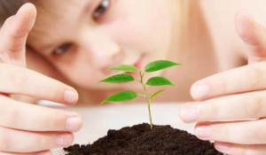 Young plant -- CONTEST