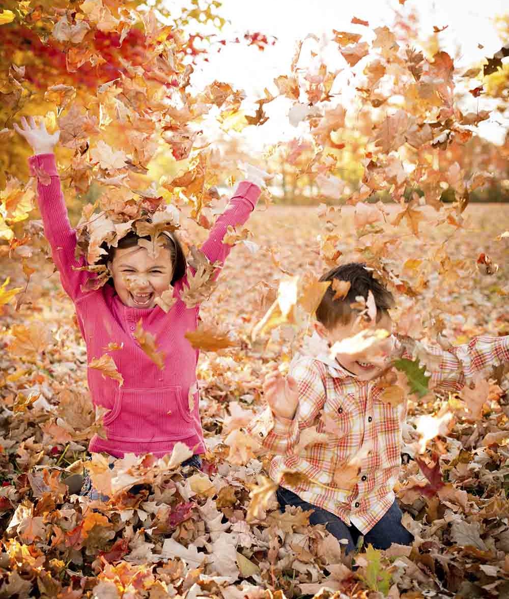 Fall Tree care To Do List - Tree Service