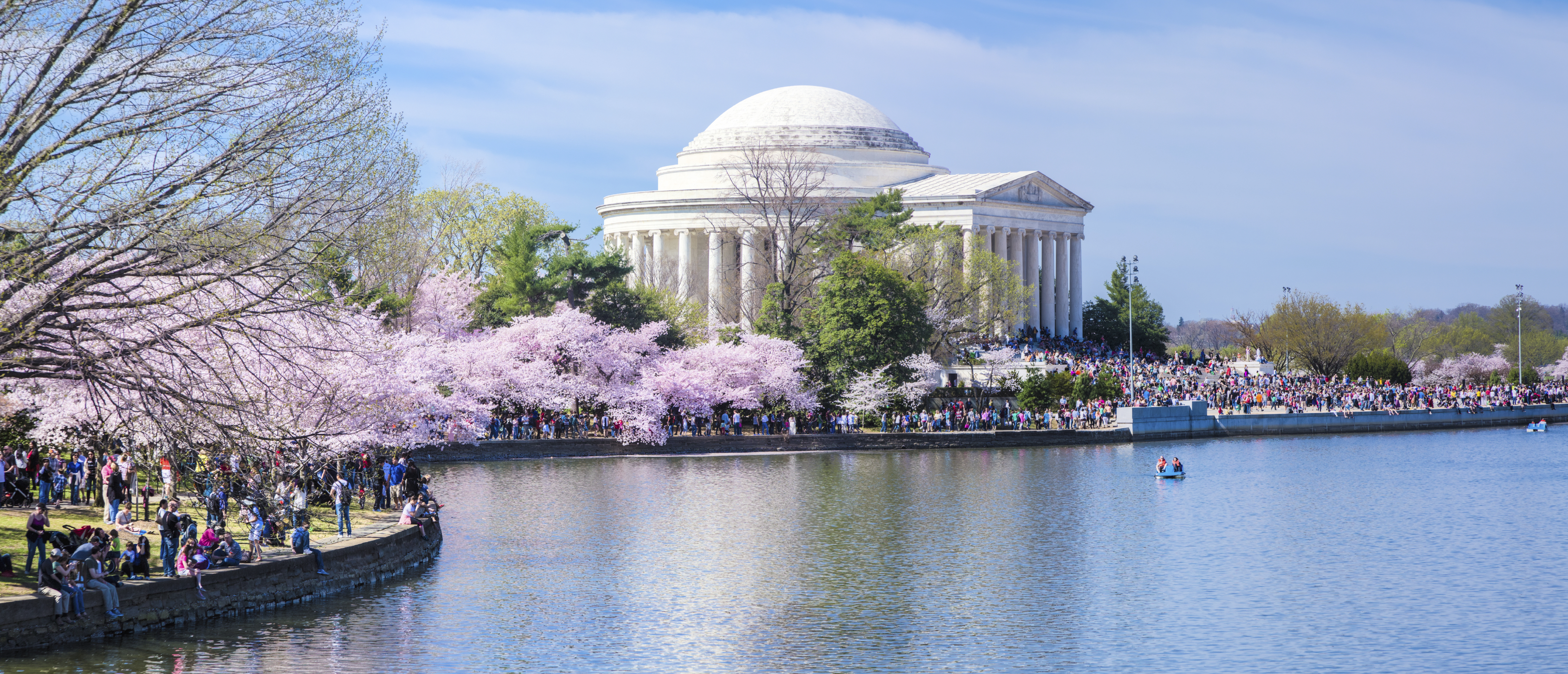 Cherry Blossom Festival