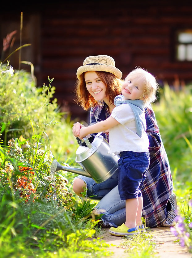 Spring Tree Care 1