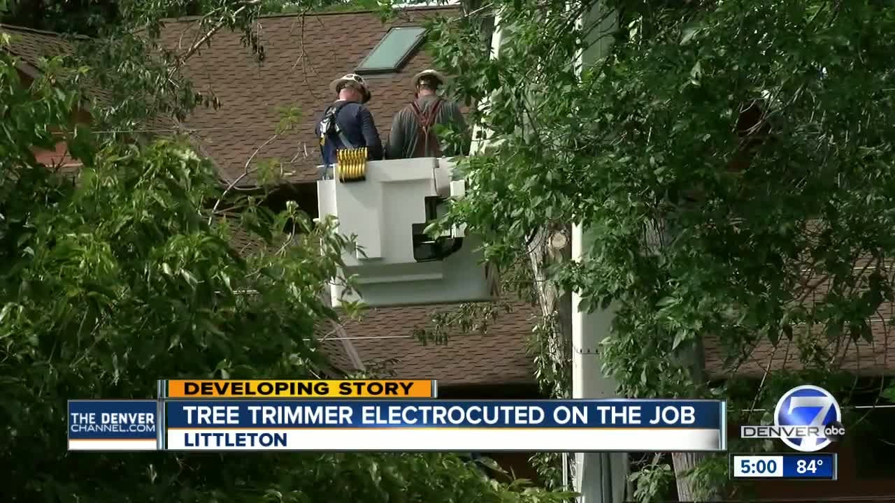 electrocution of tree worker in littleton