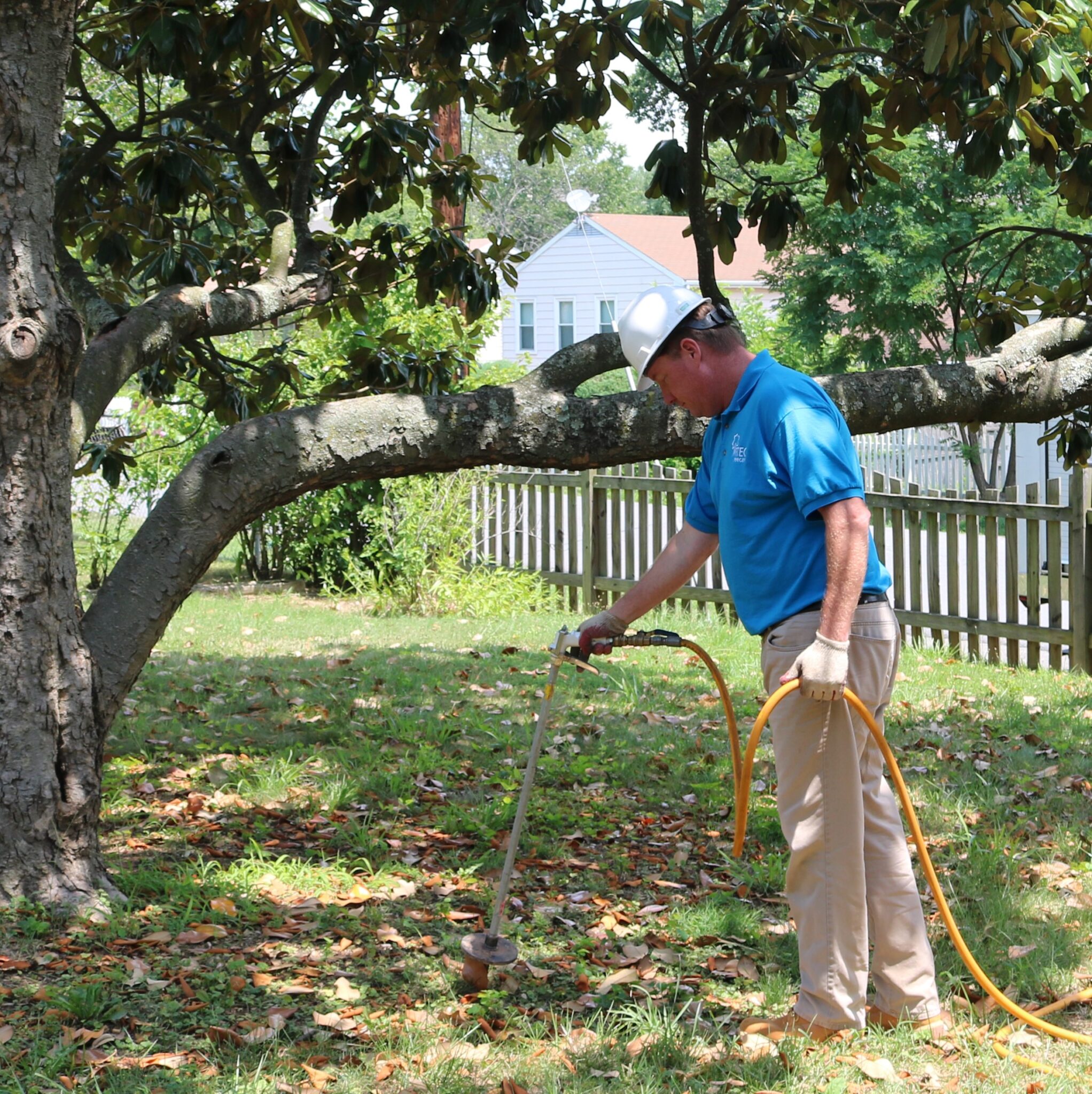 Removal easton Cabin MD John ma, tree