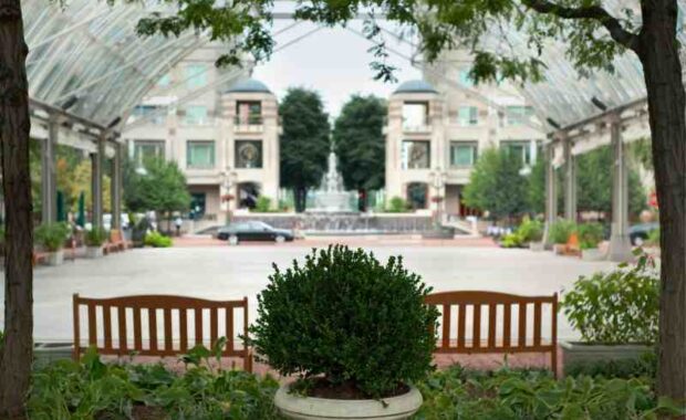 commercial tree services