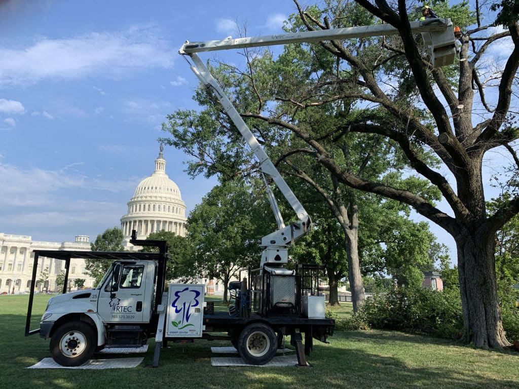 About Us - Tree Service Experts