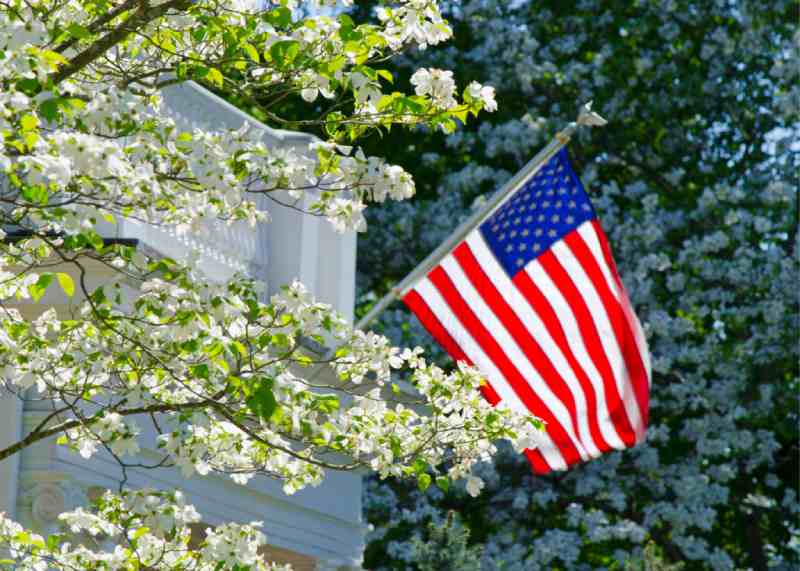 spring tree care