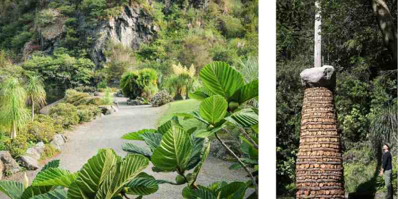 Bukit Timah Nature Reserve