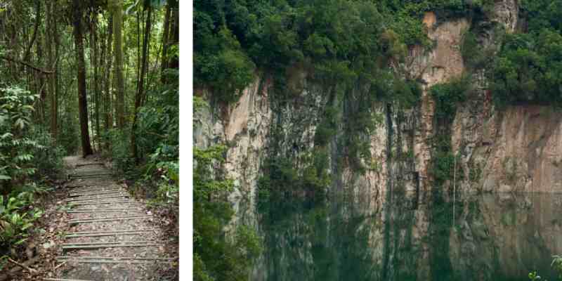 Bukit Timah Nature Reserve