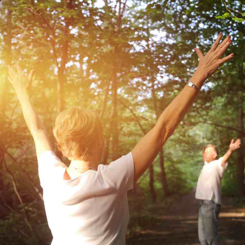 forest bathing