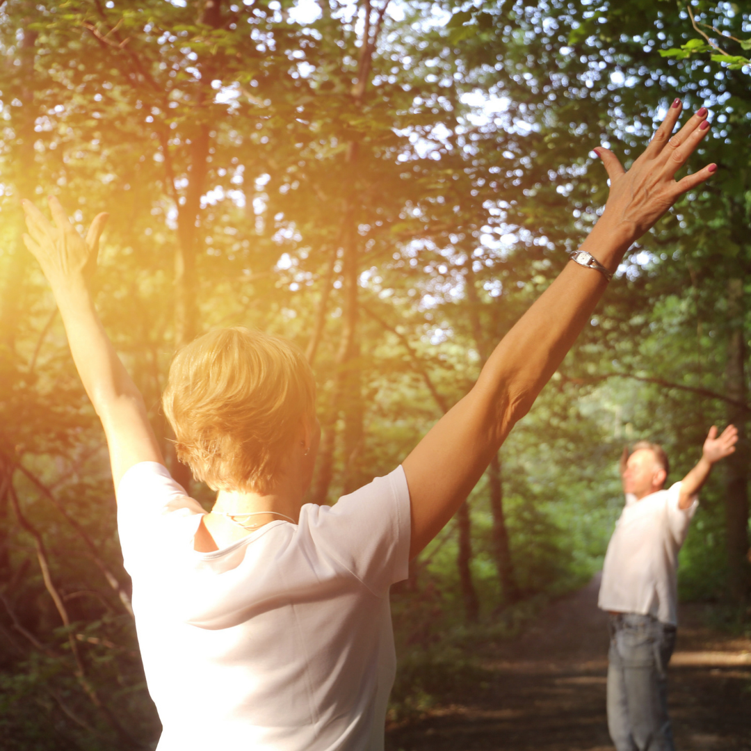 Forest Bathing