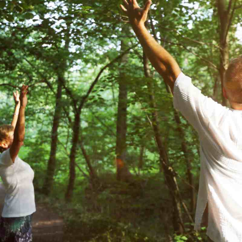 forest bathing