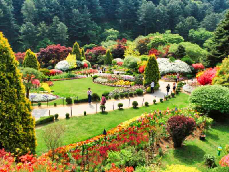 garden of morning calm