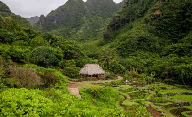 Limahuli garden