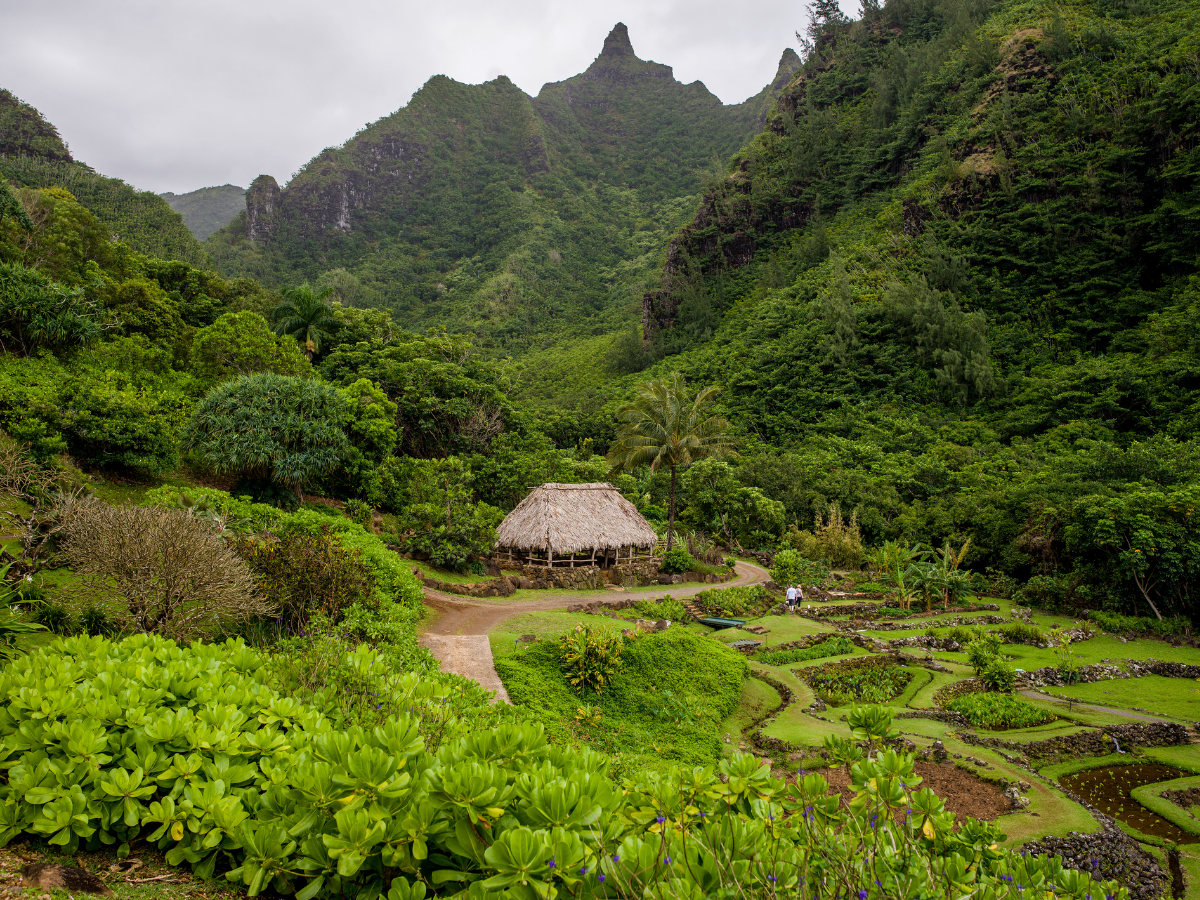 RTEC_Historical Gardens