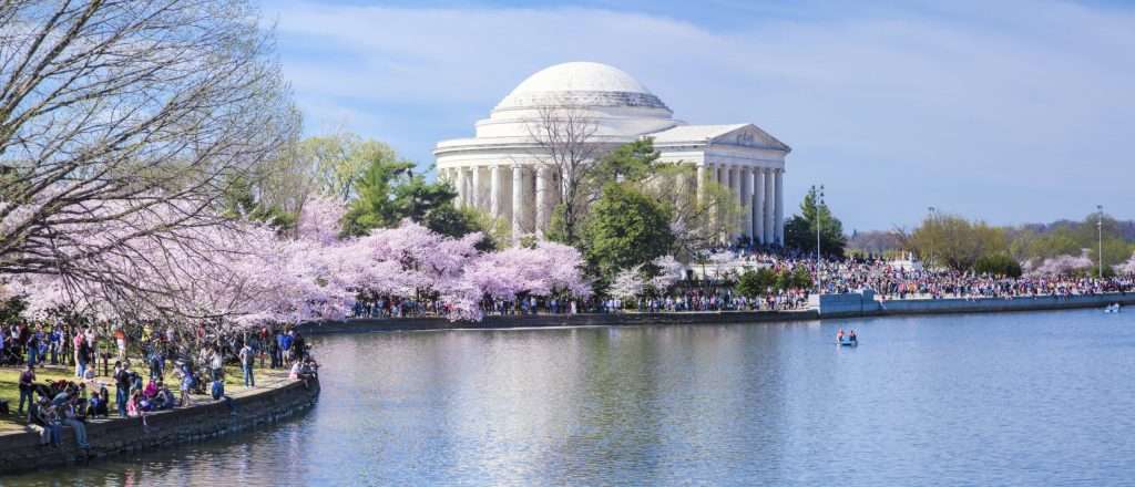 Cherry Blossom Festival