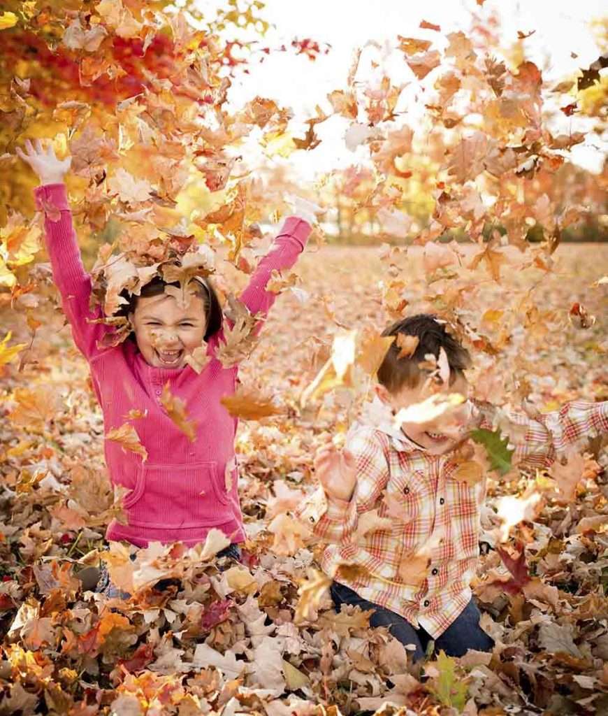 kids playing in leaves