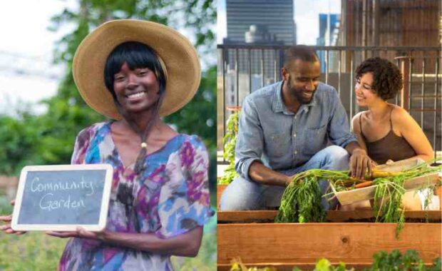 community gardening