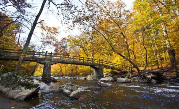creekside bridge