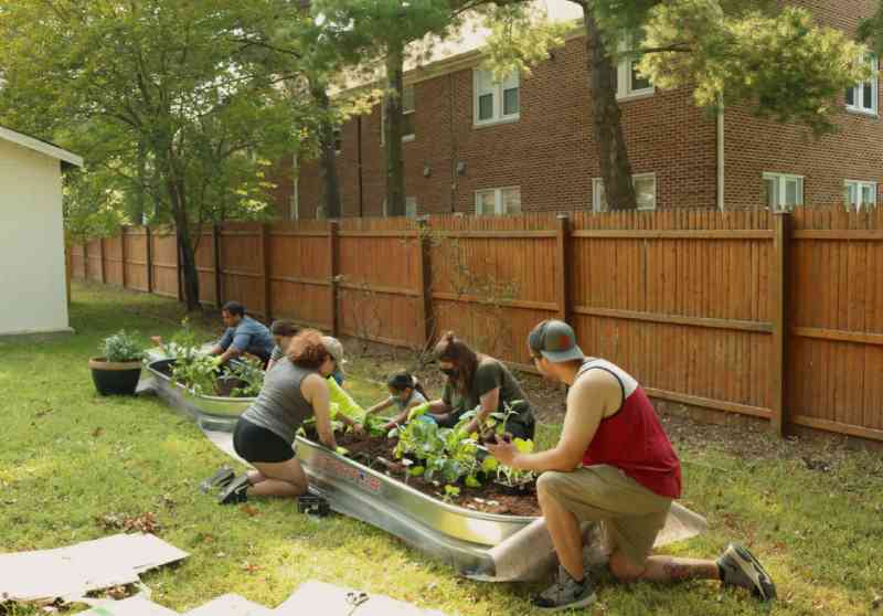 community gardening