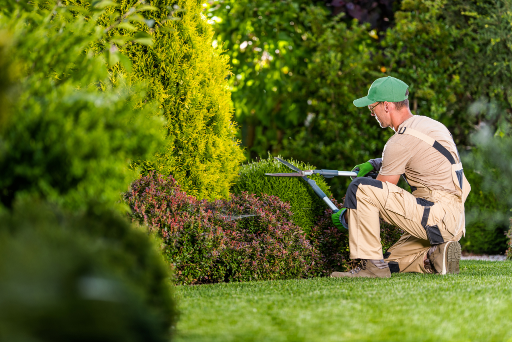 Gardener pruning a shrub