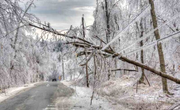 winter damage to powerline