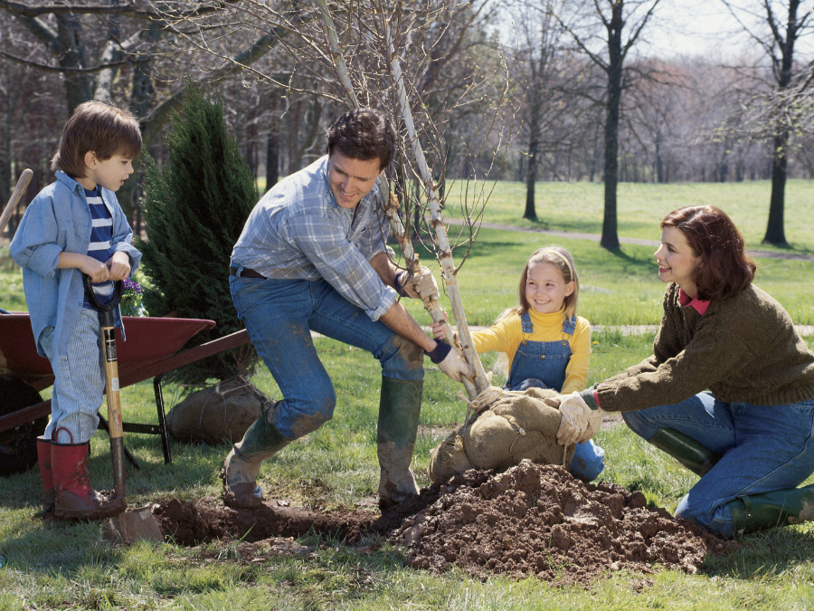 Family planting a tree