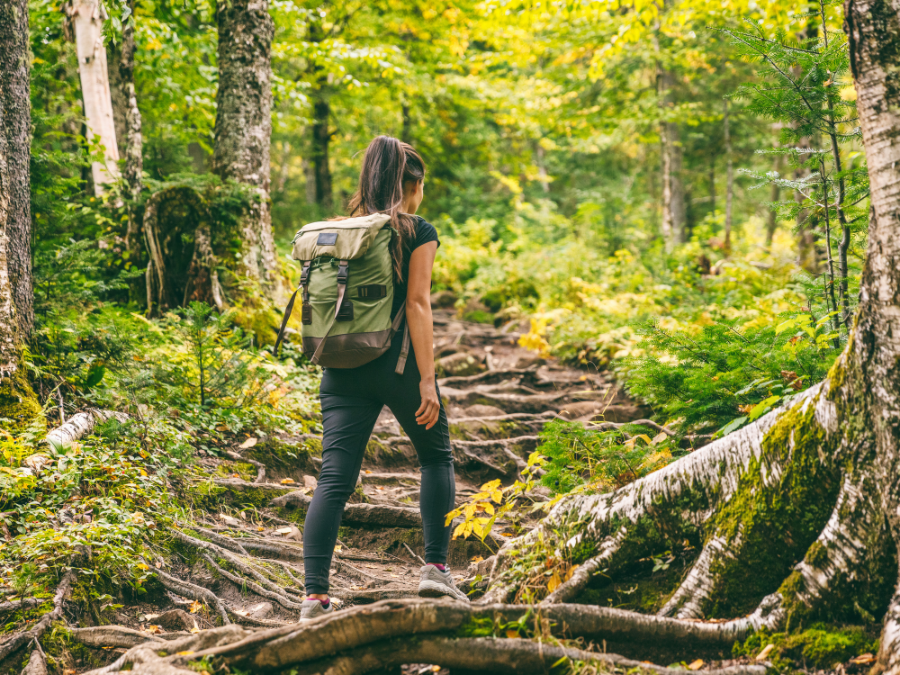 Woman hiking in forest