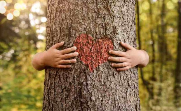 tree love