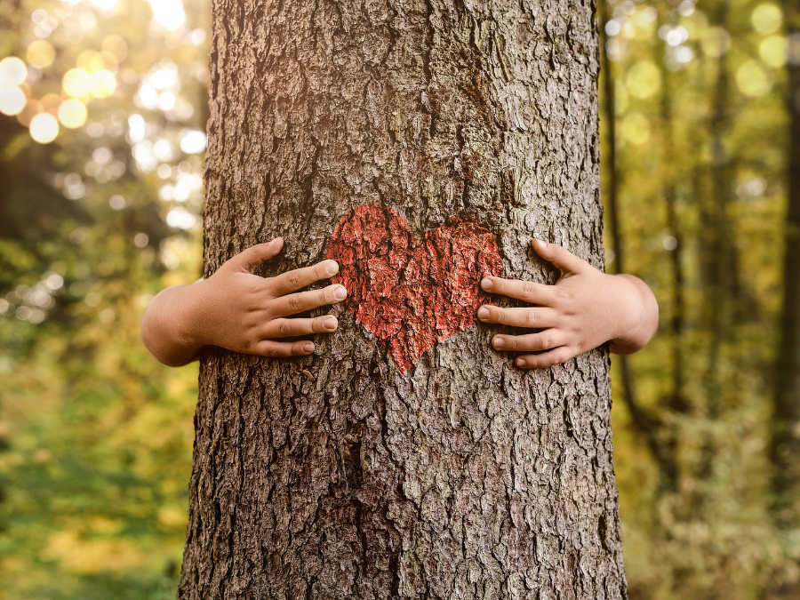 hands hugging tree