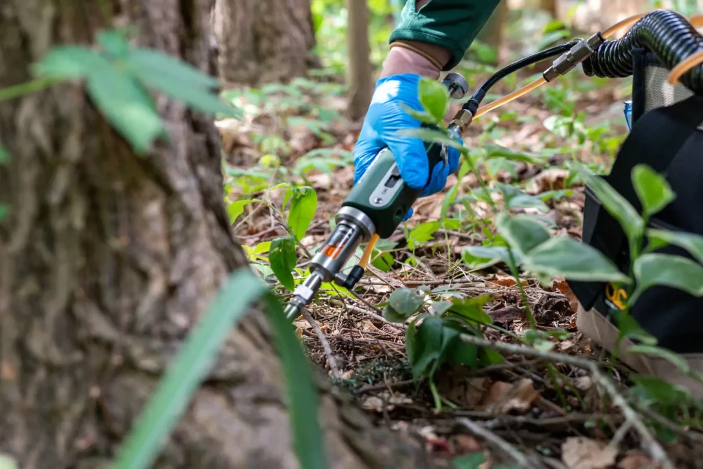 Protecting tree against Magnolia tree disease