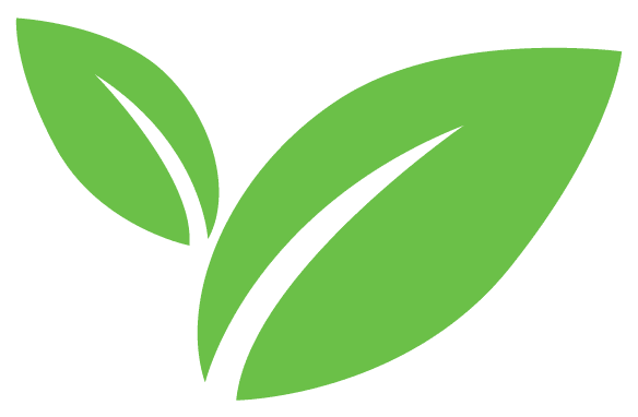 Vector image of a leaf