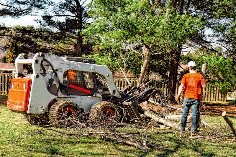 emergency tree services