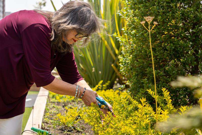 customized pruning