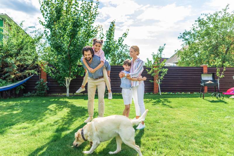 healthy backyard