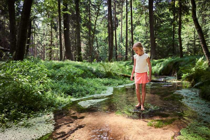 stream bed restoration