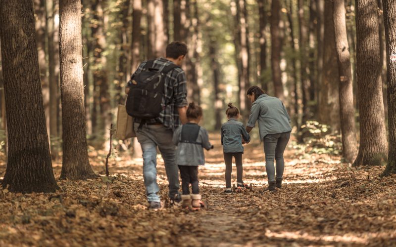 family in the forest