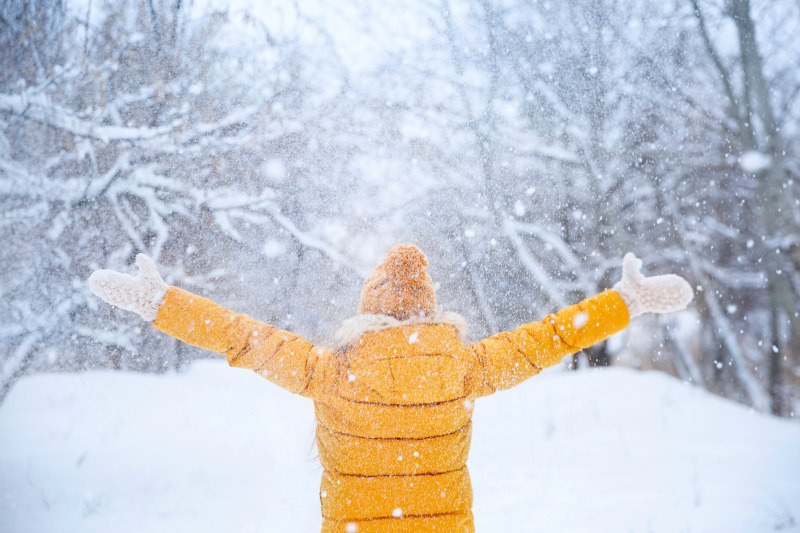 winter tree protection