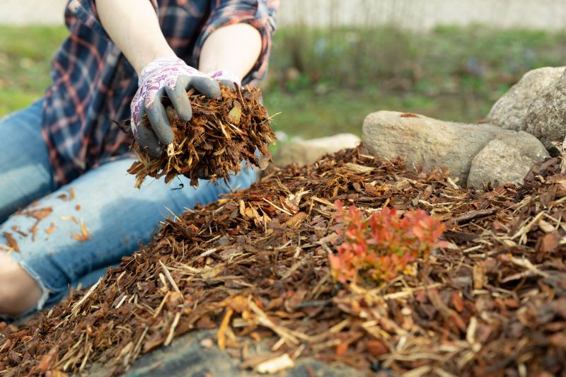 wood disposal/recycling