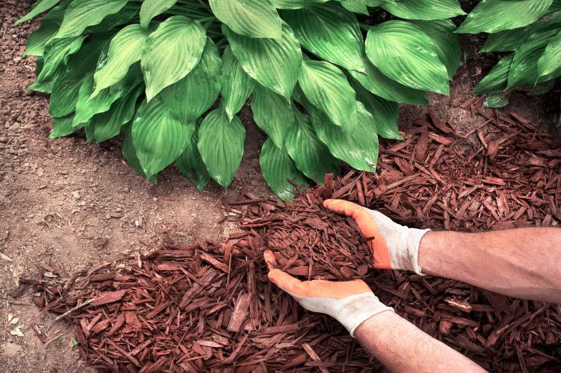 mulching services