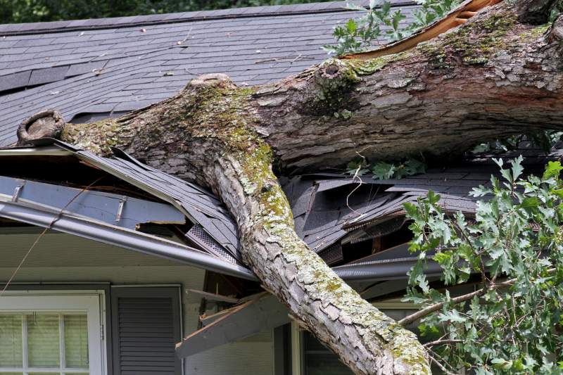 storm damage from a tree