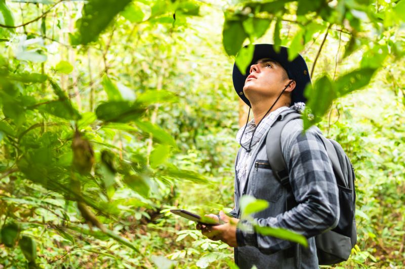 arborist evaluations