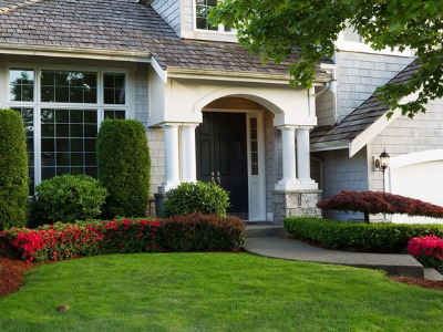 beautiful lawn
