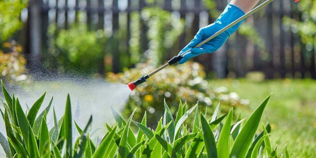 gardener or farmer spraying green plants in the garden with chemicals or ecological