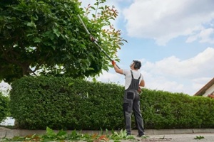 back view of professional gardener in overalls