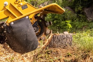 stump grinder machine is grinding a tree stump in a garden from a tree service alexandria va