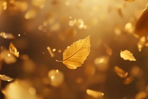 leaves falling during season