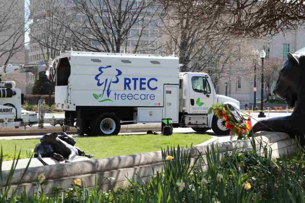 RTEC Treecare Local City Hall