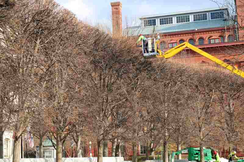 large crane being used