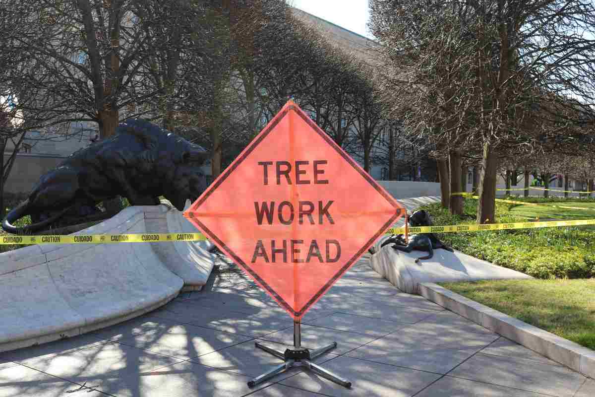 tree work ahead sign