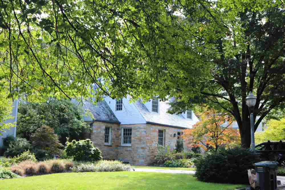 outside yard in maryland