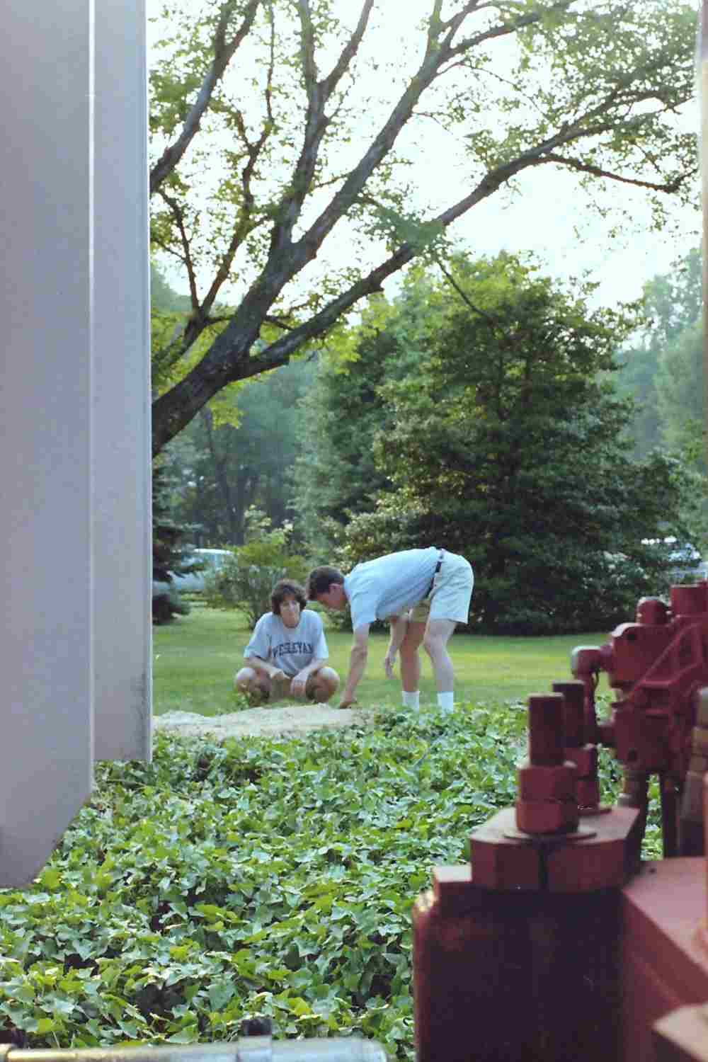 founder working in yard
